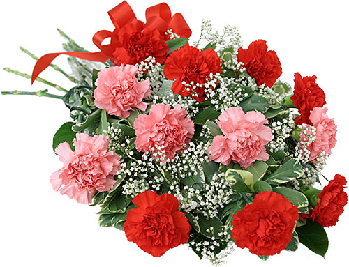 pink-and-red-carnation-bouquet