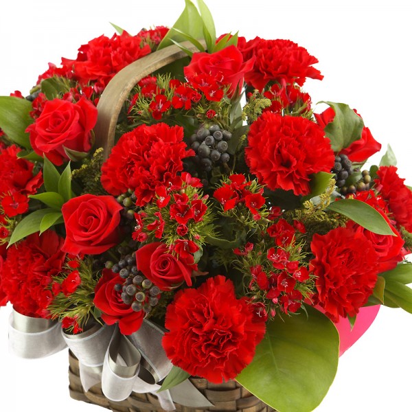 red-carnation-beautiful-red-carnation-colors-34691899-600-600